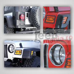 Euro Guard Light Kit, 97-06 Jeep Wrangler TJ