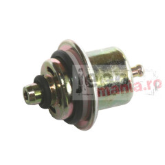 Fuel Pressure Regulator, 91-95 Jeep Wrangler YJ