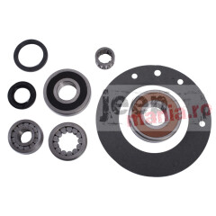 Bearing and Seal Overhaul Kit, AX15