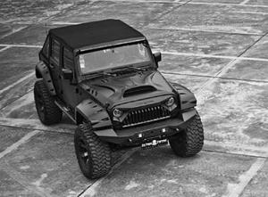 Jeep Wrangler's by 